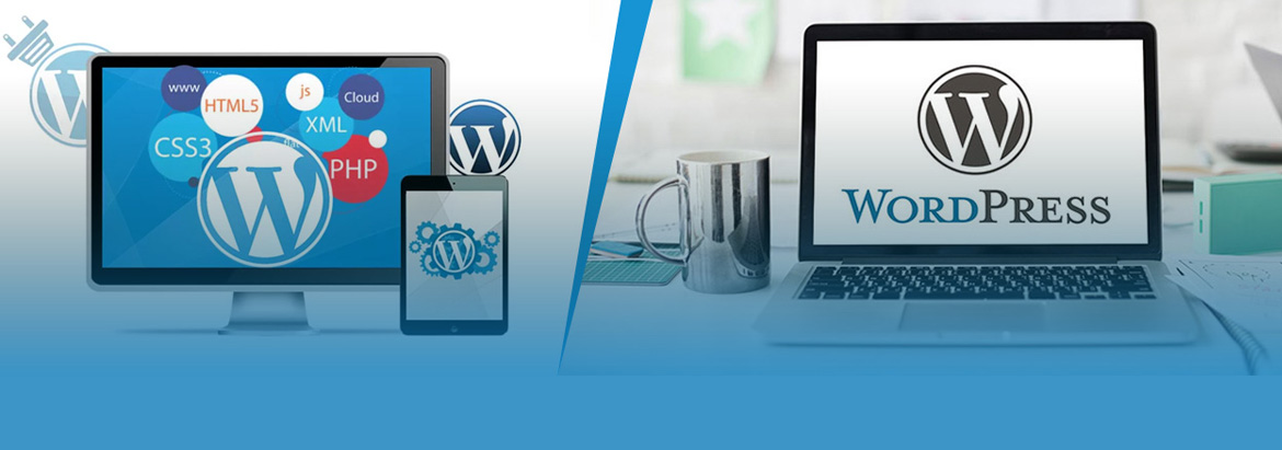 Why is WordPress Development best for business websites