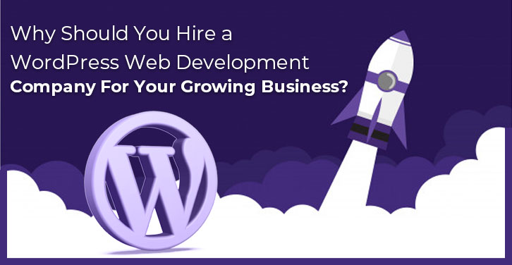 Do you need a WordPress developer for your website